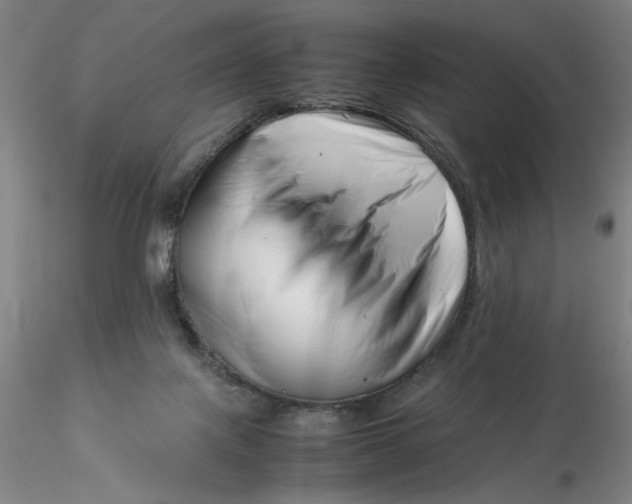 X0000116270075200912211807