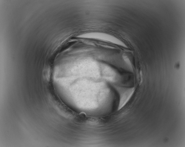 X0000116270076200912211807