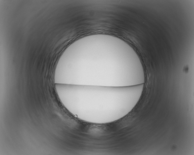 X0000116270077200912211807