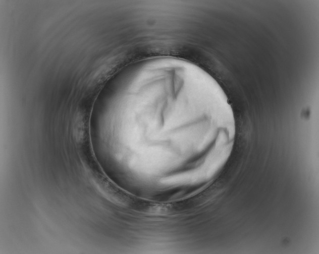 X0000116270080200912211807