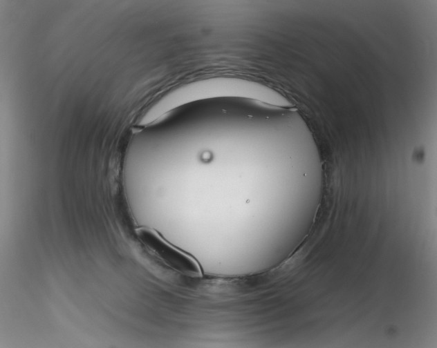 X0000116270082200912211807