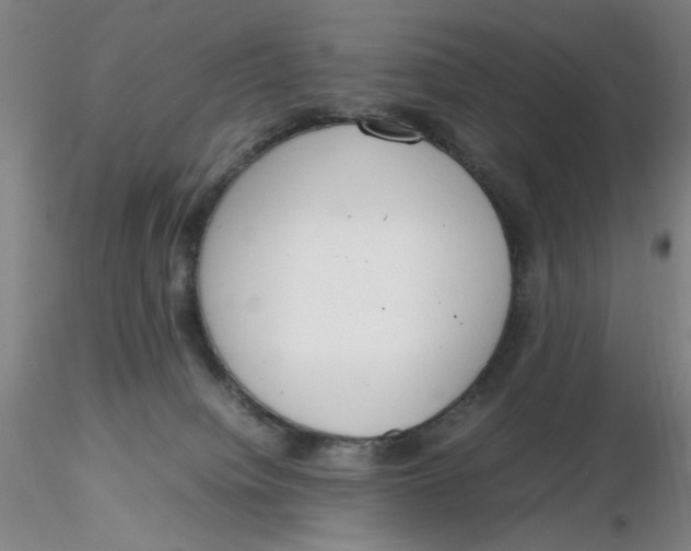 X0000116270084200912211807