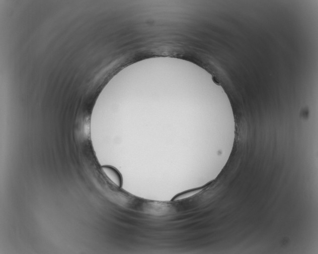 X0000116270095200912211807