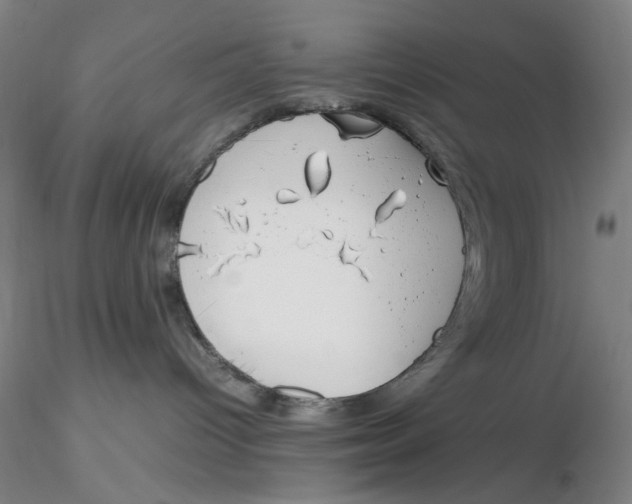 X0000116270096200912211807