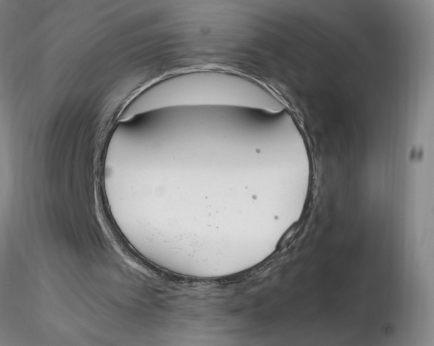 X0000116270097200912211806
