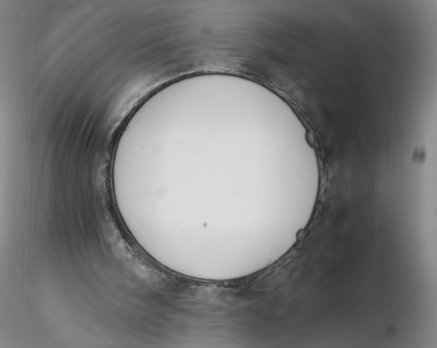 X0000116270098200912211806