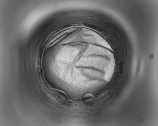 X0000116270099200912211806