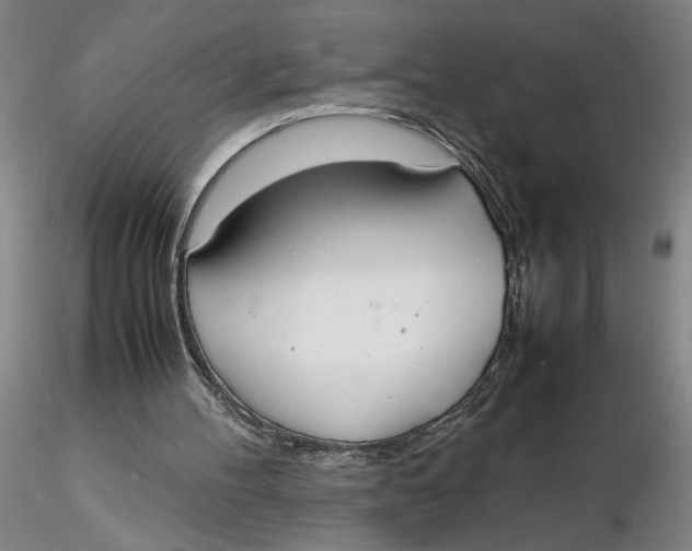 X0000116270100200912211806