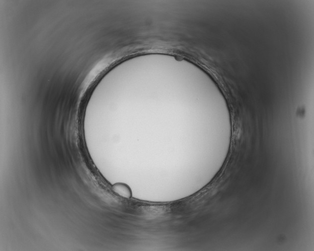 X0000116270102200912211806