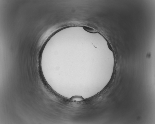 X0000116270103200912211806