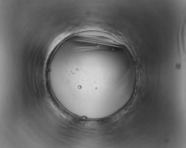 X0000116270104200912211806