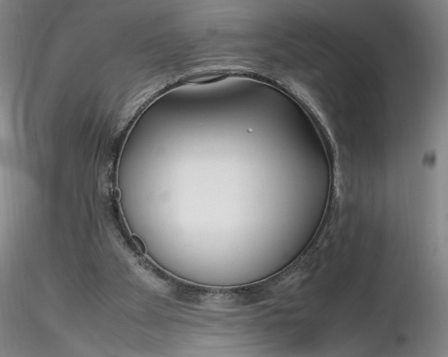 X0000116270105200912211806