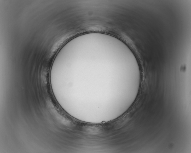 X0000116270106200912211806