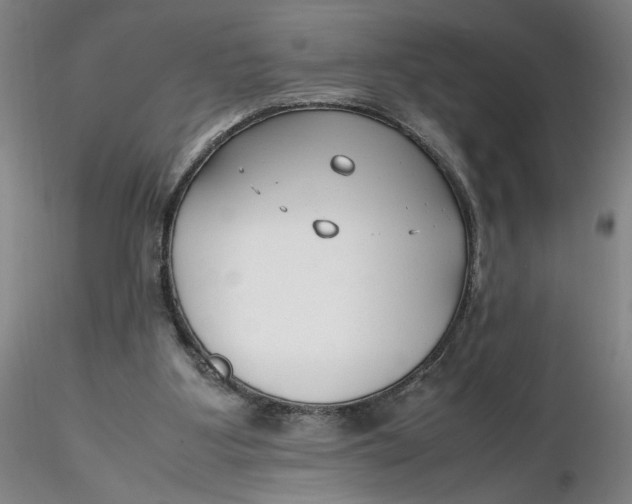 X0000116270107200912211806