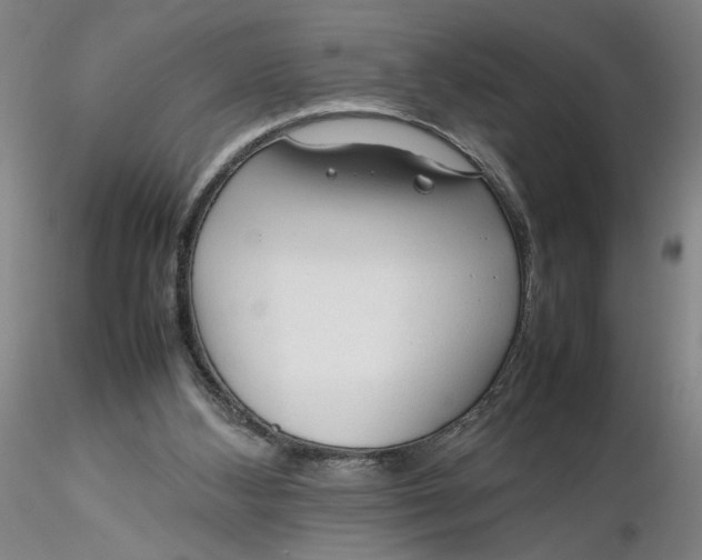 X0000116270108200912211806