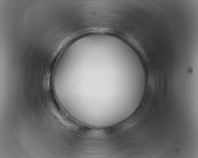 X0000116270110200912211806