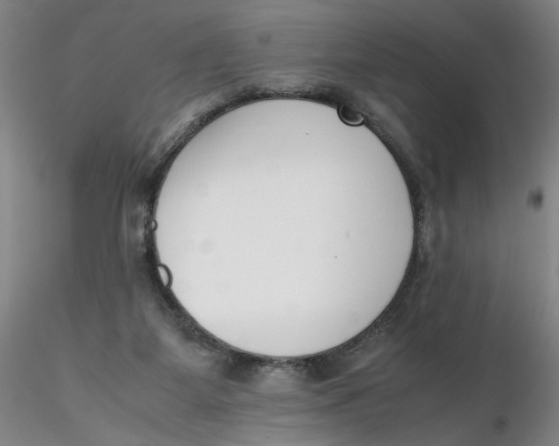 X0000116270115200912211806