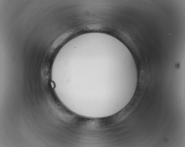 X0000116270116200912211806