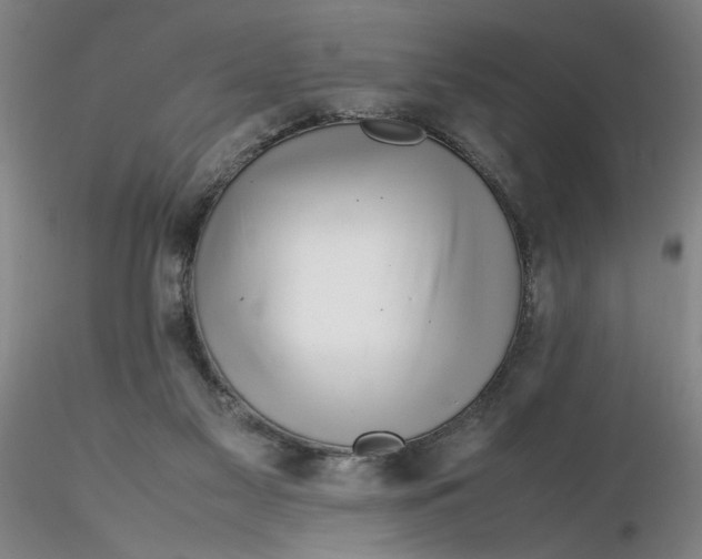 X0000116270117200912211806