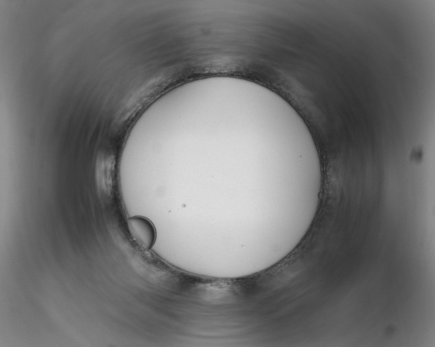 X0000116270118200912211806