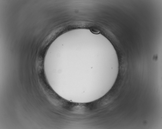 X0000116270119200912211806