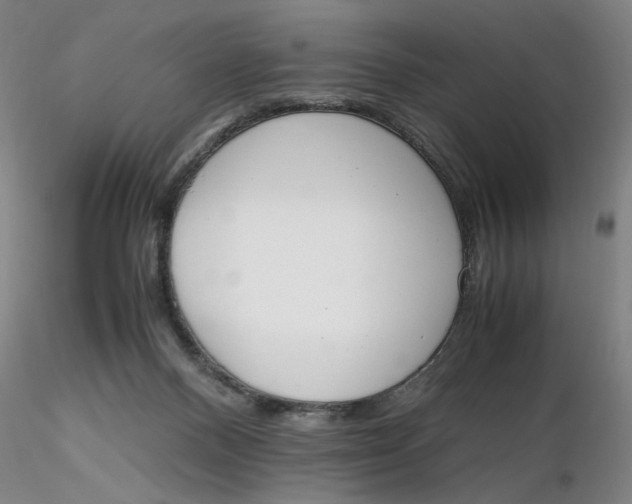 X0000116270120200912211806