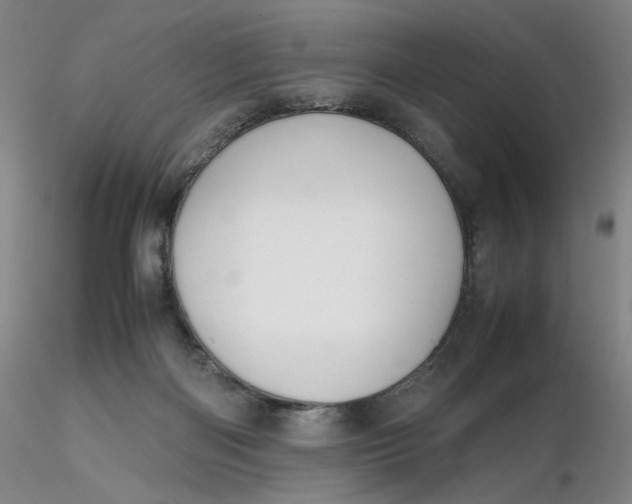 X0000116270122200912211806