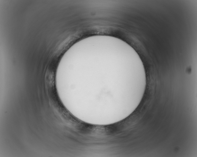 X0000116270123200912211806
