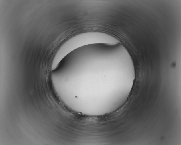 X0000116270124200912211806