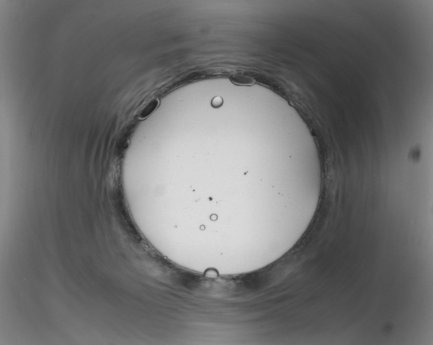 X0000116270125200912211806