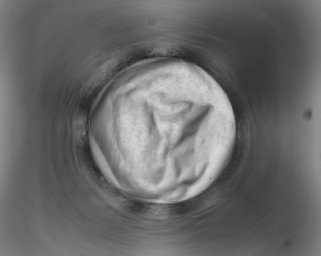 X0000116270127200912211806
