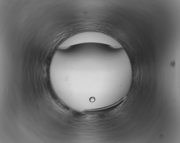 X0000116270128200912211806