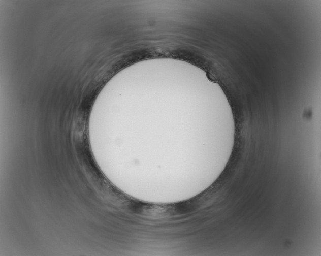 X0000116270129200912211806
