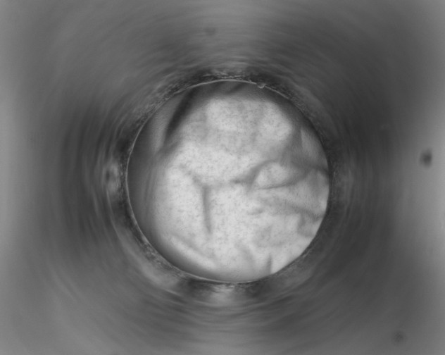X0000116270130200912211806