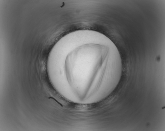 X0000116270131200912211806