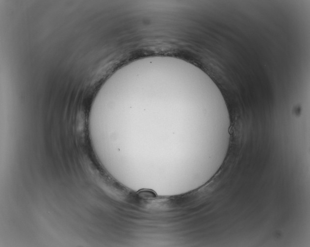 X0000116270132200912211806