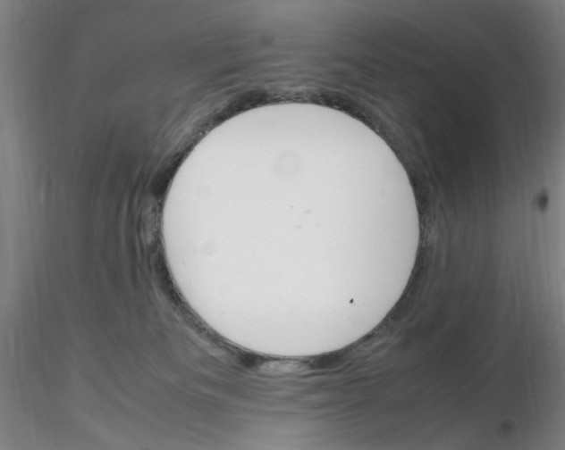 X0000116270133200912211806