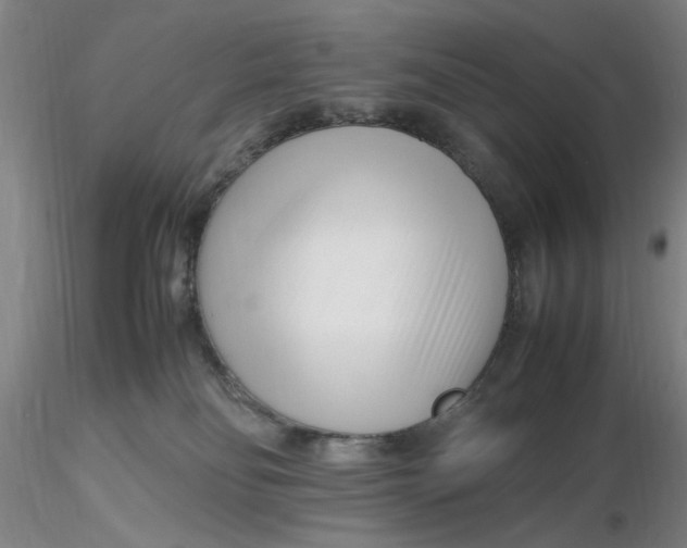 X0000116270134200912211806