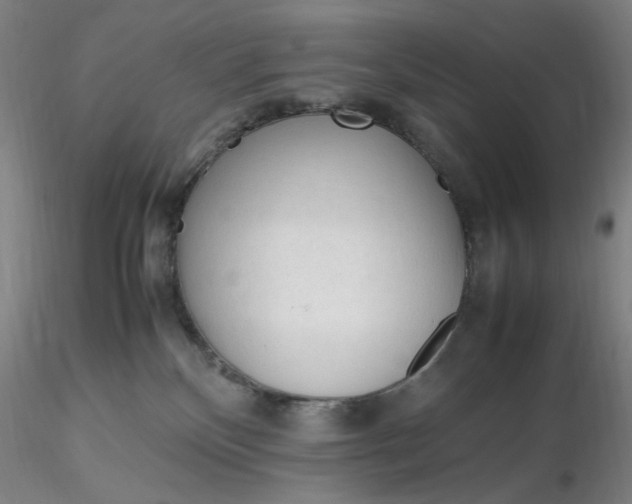X0000116270136200912211806