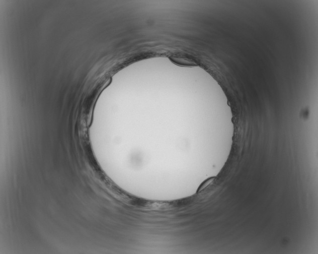 X0000116270137200912211806