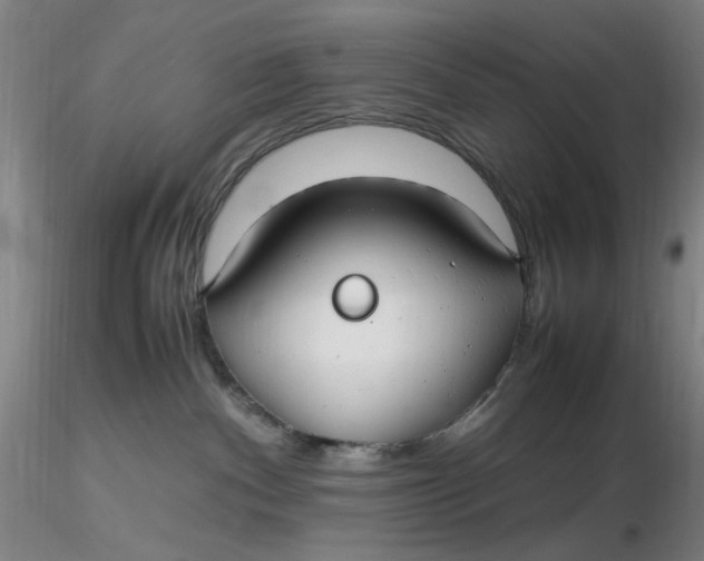 X0000116270140200912211806