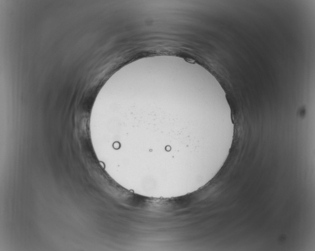 X0000116270141200912211806