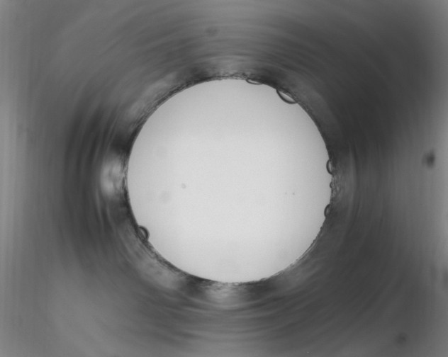 X0000116270142200912211806
