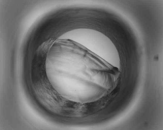 X0000116270143200912211806