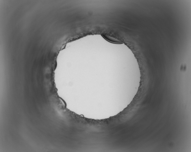 X0000116270144200912211806