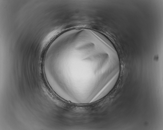 X0000116270149200912211805