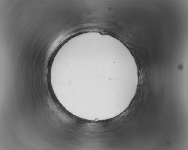 X0000116270150200912211805