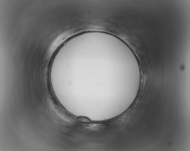 X0000116270151200912211805