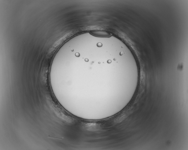 X0000116270153200912211805