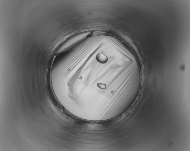 X0000116270154200912211805